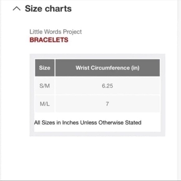 STRENGTH NWOT Little Words Project Friendship Bracelet with Charms STRENGTH OS - Picture 3 of 4